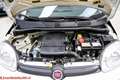 Fiat Panda Panda III 2016 1.2 Pop - Ok neopatentati!!! Bianco - thumbnail 29