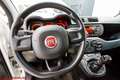 Fiat Panda Panda III 2016 1.2 Pop - Ok neopatentati!!! Bianco - thumbnail 8