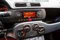 Fiat Panda Panda III 2016 1.2 Pop - Ok neopatentati!!! Bianco - thumbnail 9