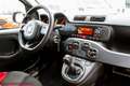 Fiat Panda Panda III 2016 1.2 Pop - Ok neopatentati!!! Bianco - thumbnail 10