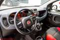 Fiat Panda Panda III 2016 1.2 Pop - Ok neopatentati!!! Bianco - thumbnail 6