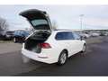 Volkswagen Golf VIII Var.1.5 TSI-LED-Navi-Abst.temp-Sihz-PDCCam-EU Weiß - thumbnail 16