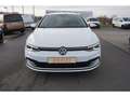 Volkswagen Golf VIII Var.1.5 TSI-LED-Navi-Abst.temp-Sihz-PDCCam-EU Weiß - thumbnail 4