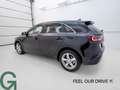 Kia Ceed / cee'd CEED/GOLD/UVO/1.5 TGDI 48V/DCT7/140 Schwarz - thumbnail 6