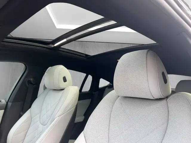 BMW X6 view 11