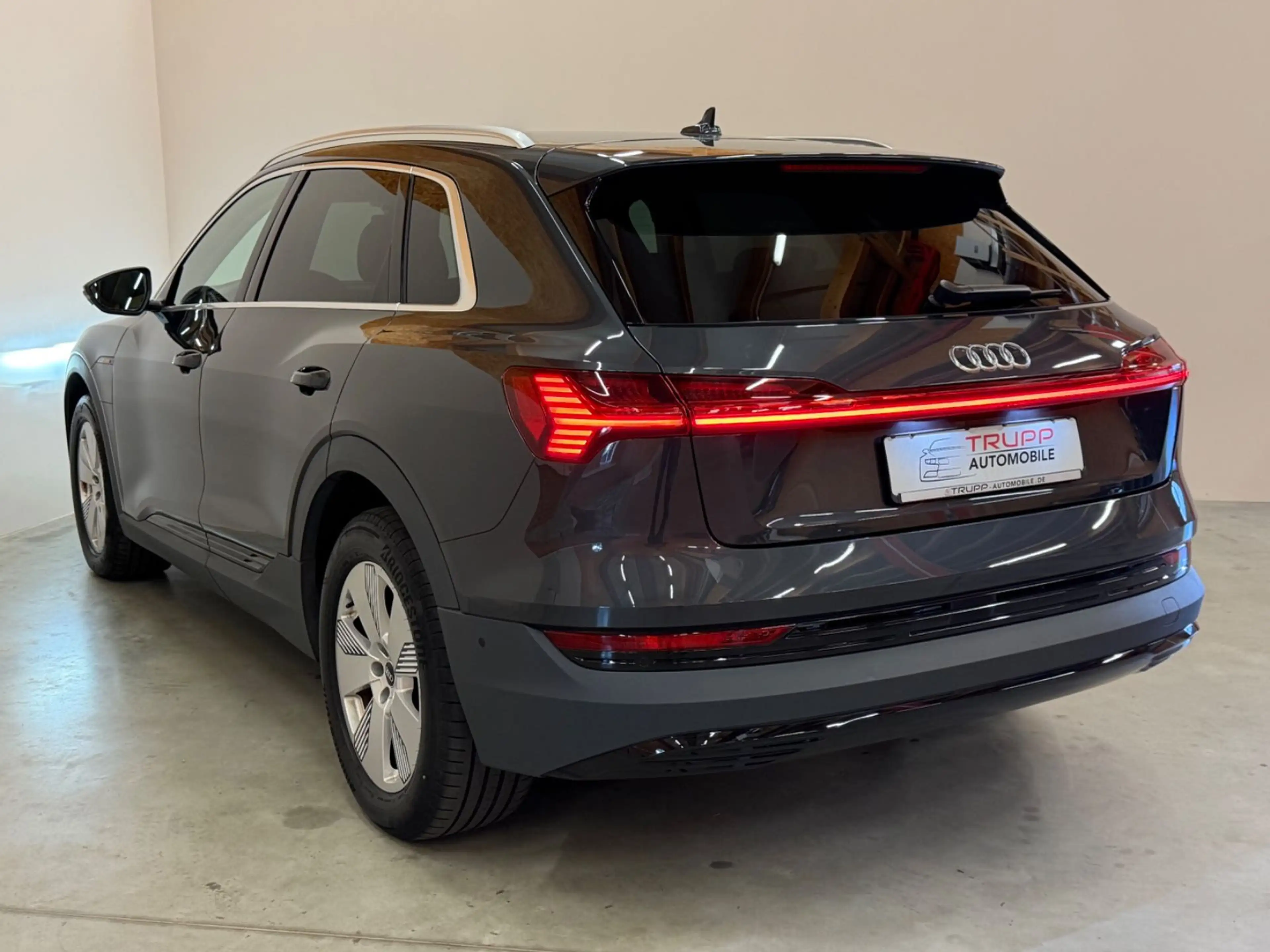 Audi e-tron 50 quattro/LED/AHK/B&O/ACC/SHZ/NAVI — photo 8