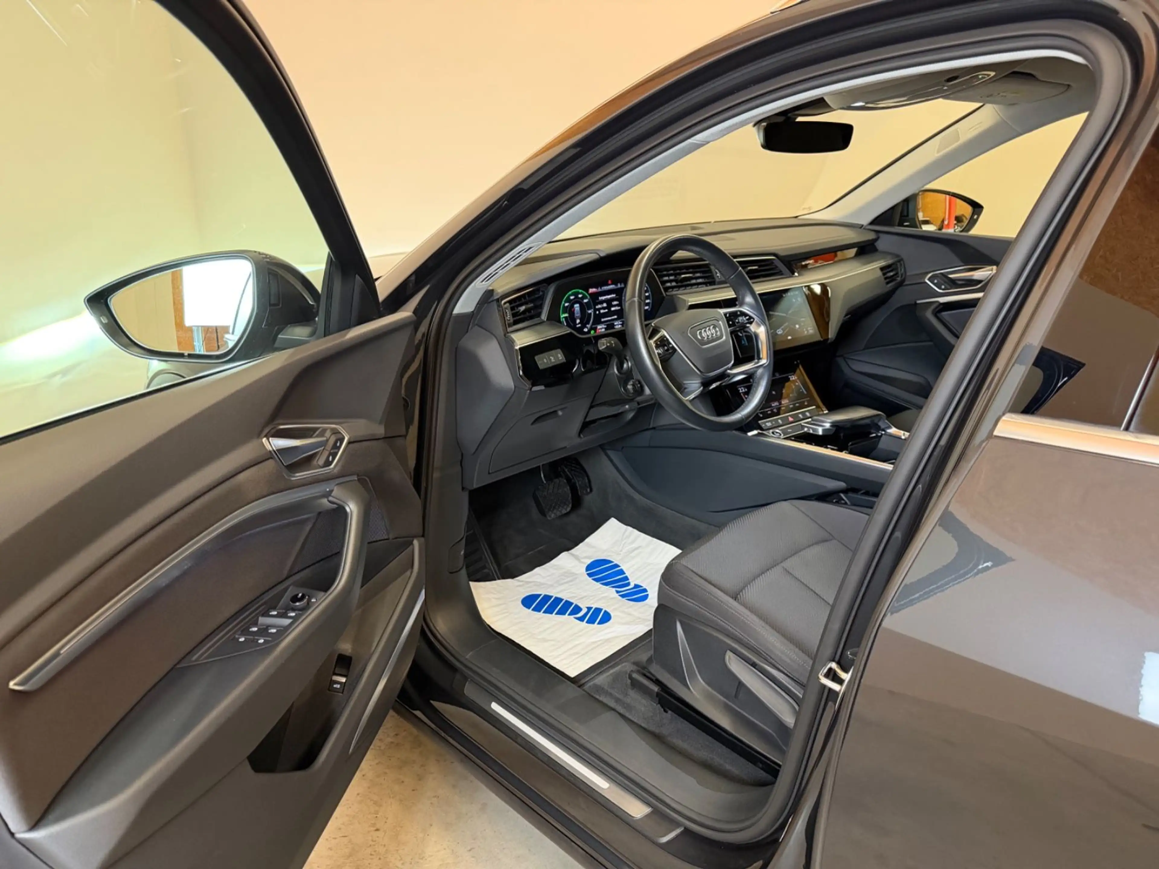 Audi e-tron 50 quattro/LED/AHK/B&O/ACC/SHZ/NAVI — photo 11
