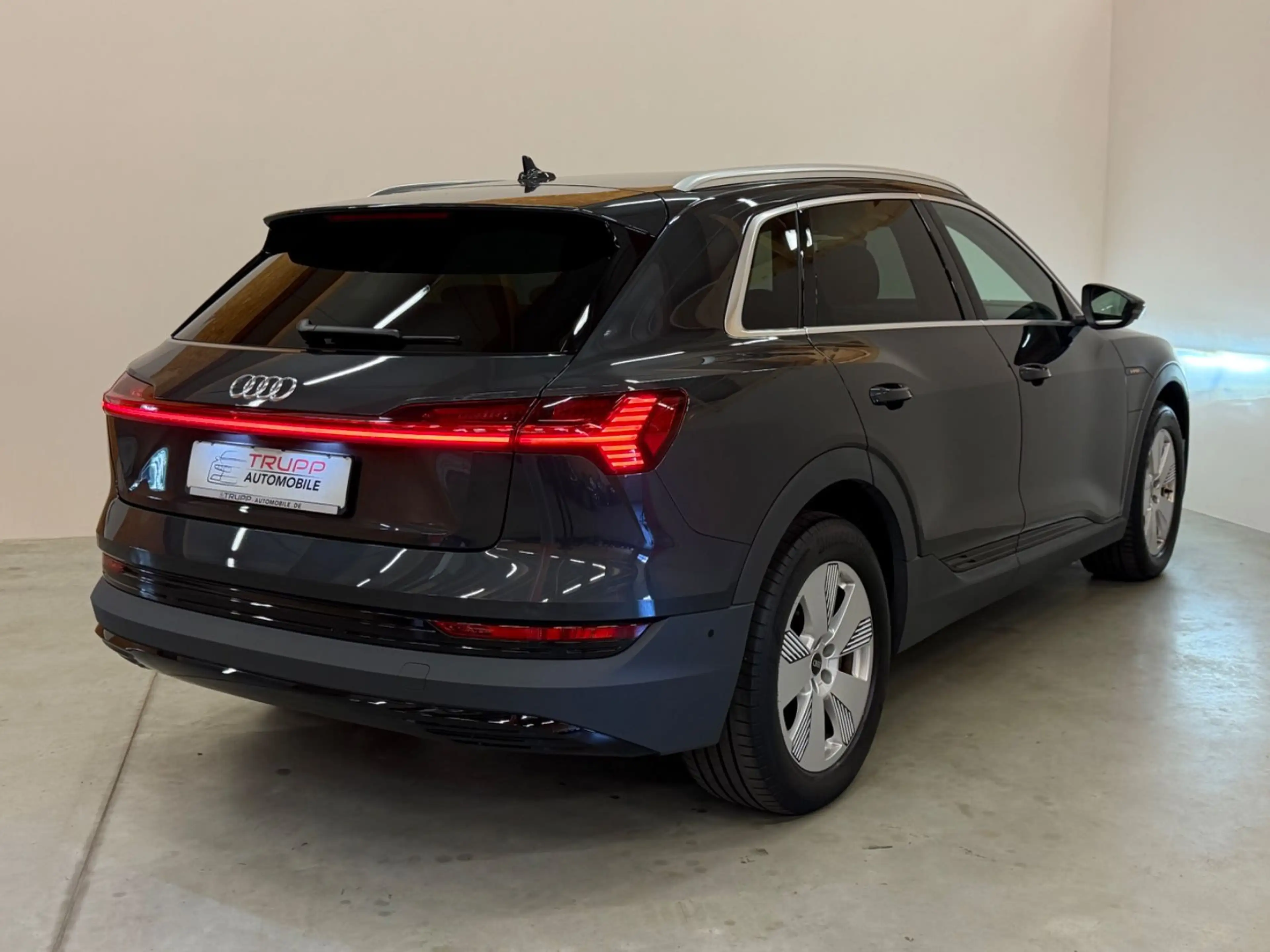 Audi e-tron 50 quattro/LED/AHK/B&O/ACC/SHZ/NAVI — photo 6