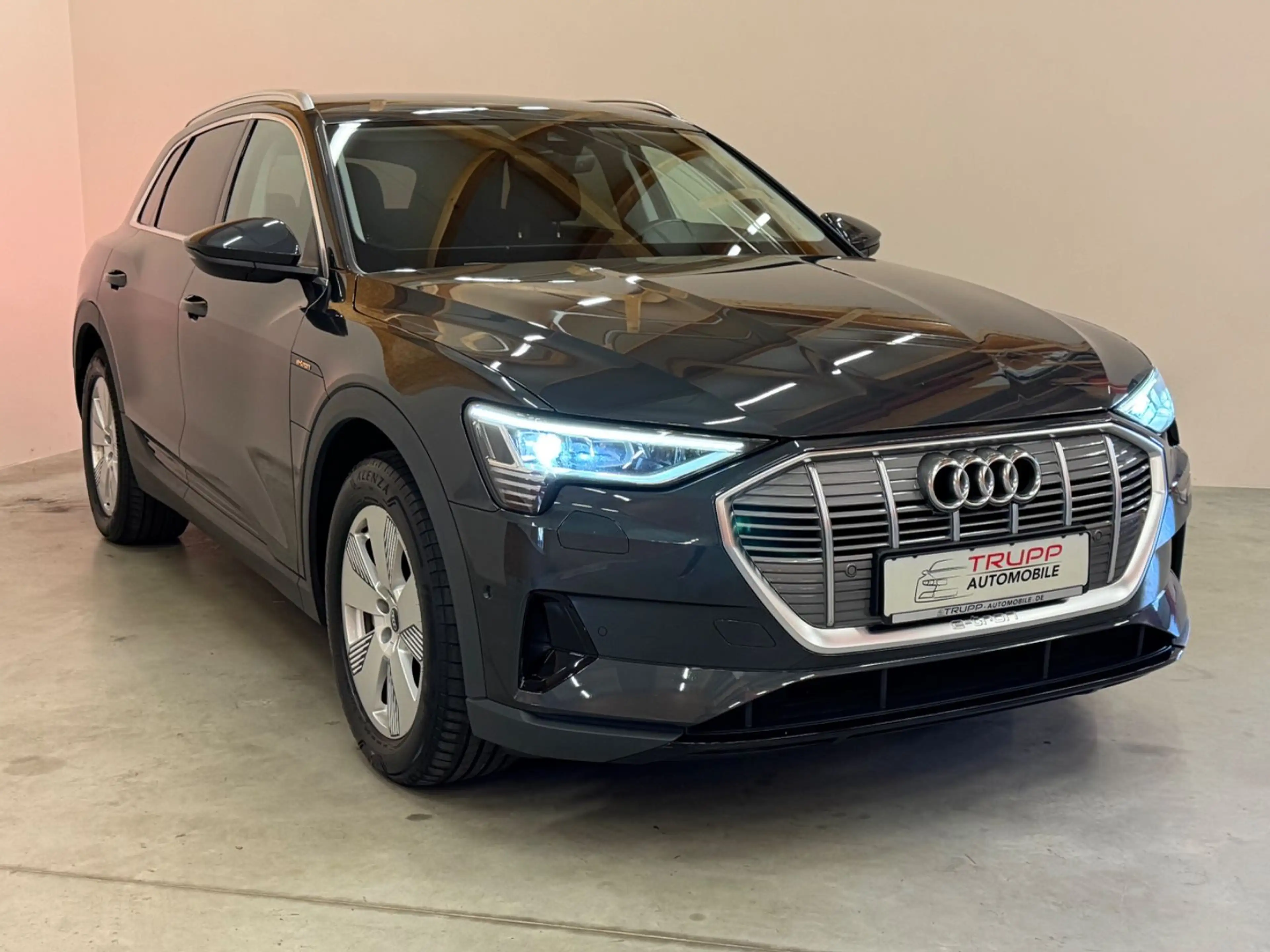 Audi e-tron 50 quattro/LED/AHK/B&O/ACC/SHZ/NAVI — photo 5