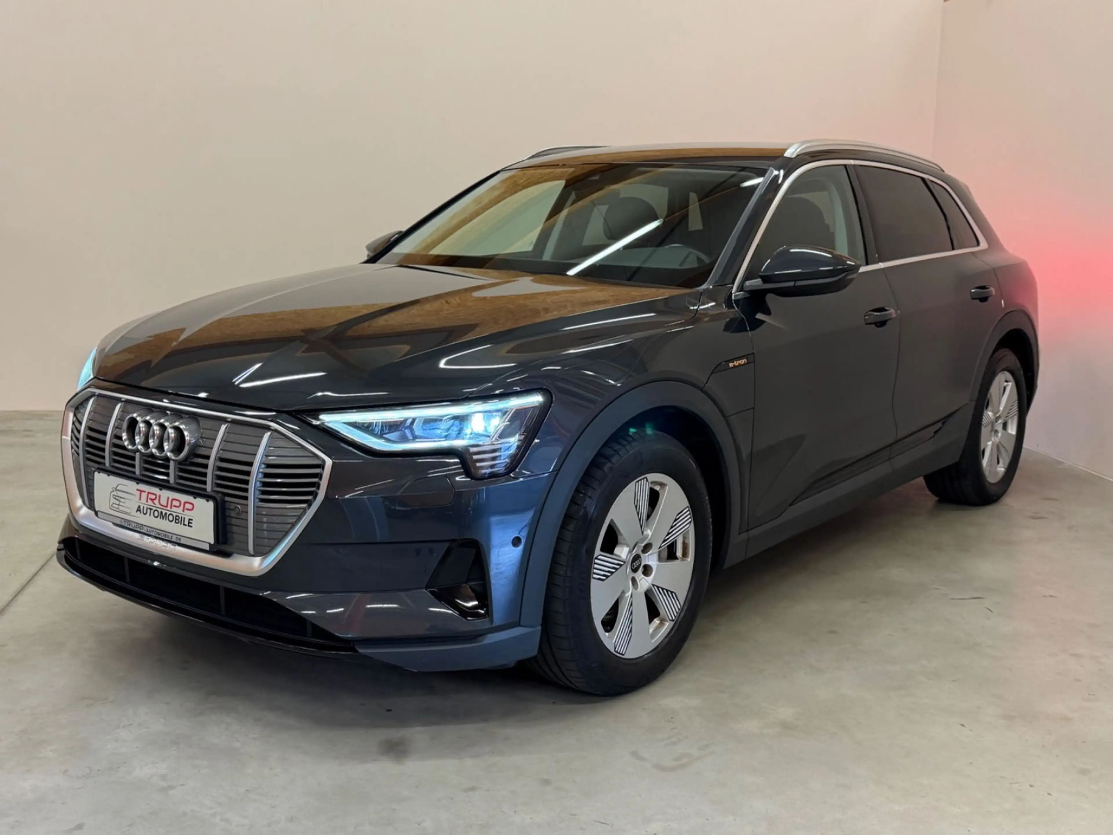 Audi e-tron 50 quattro/LED/AHK/B&O/ACC/SHZ/NAVI — photo 3