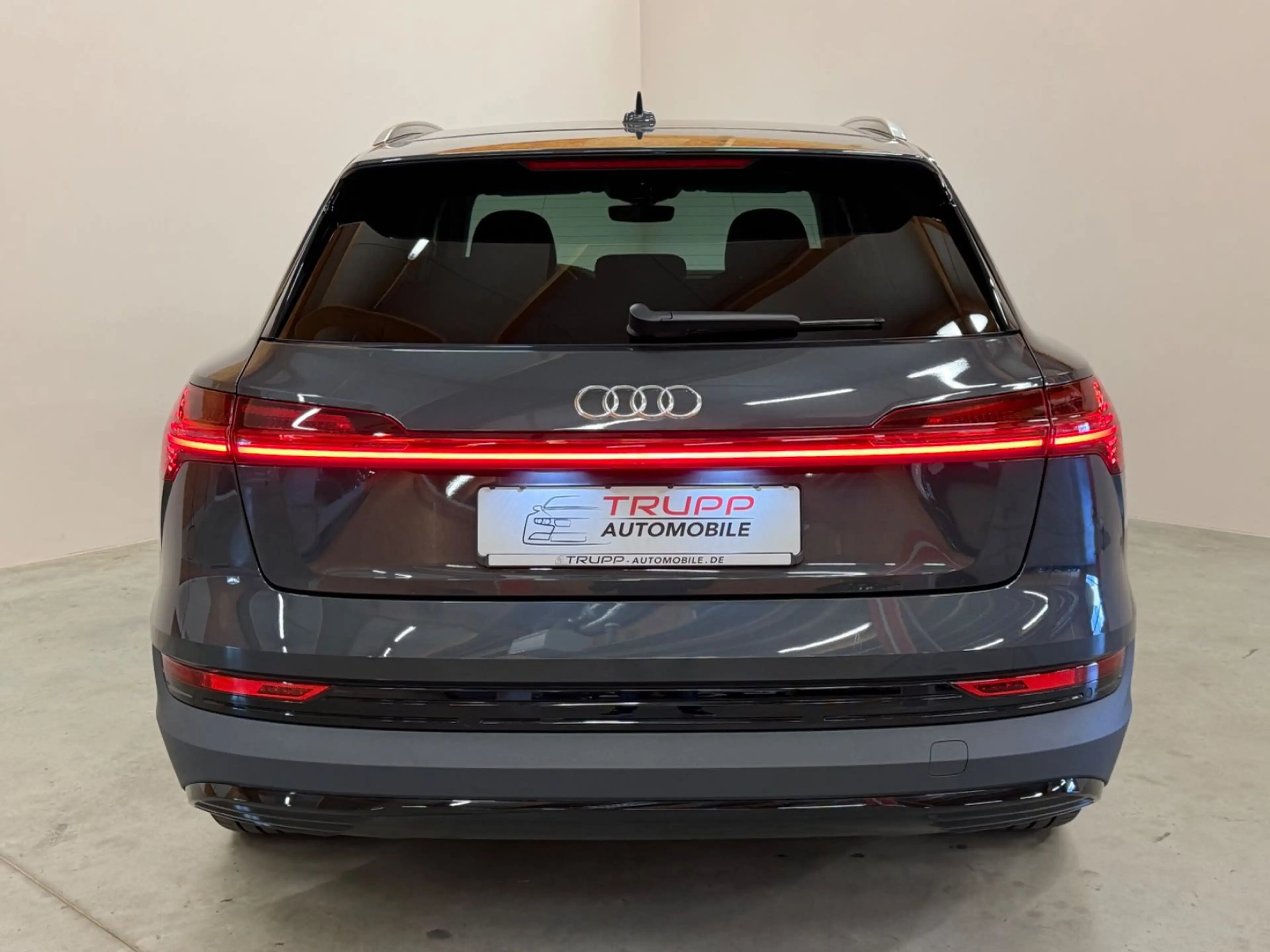 Audi e-tron 50 quattro/LED/AHK/B&O/ACC/SHZ/NAVI — photo 7