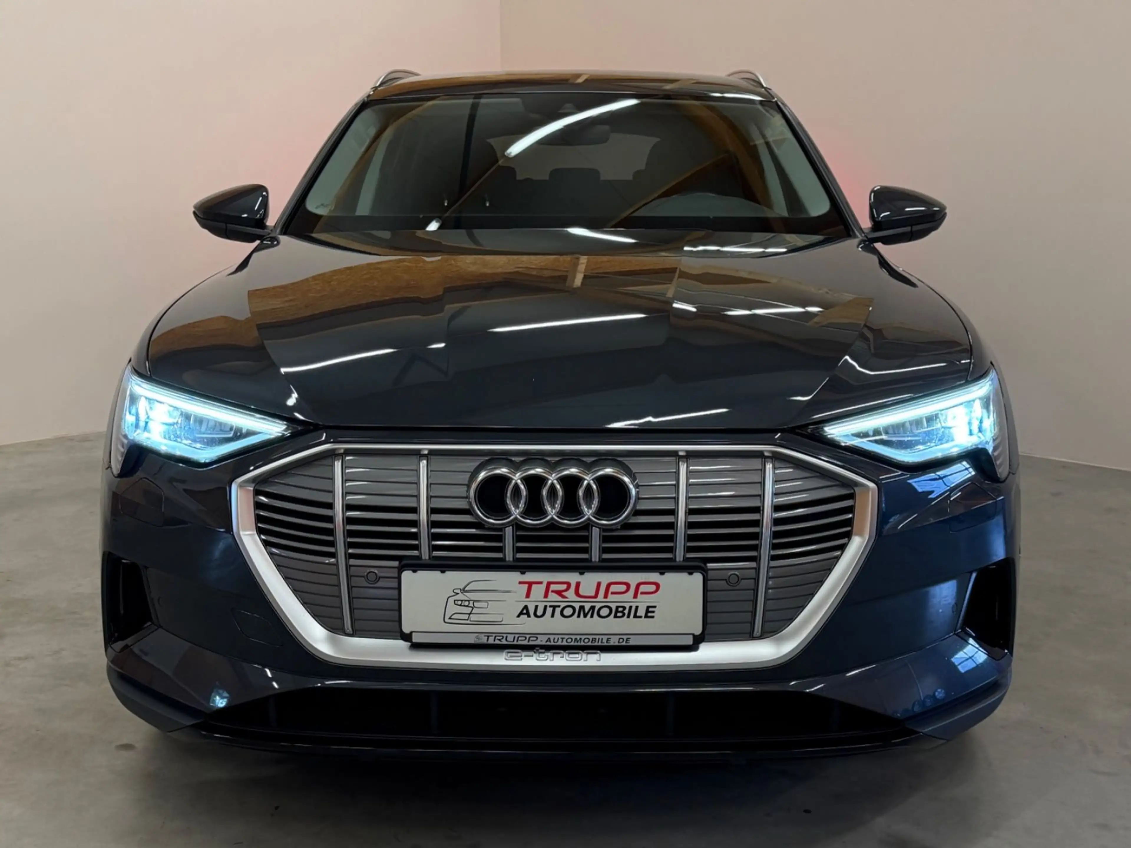 Audi e-tron 50 quattro/LED/AHK/B&O/ACC/SHZ/NAVI — photo 4
