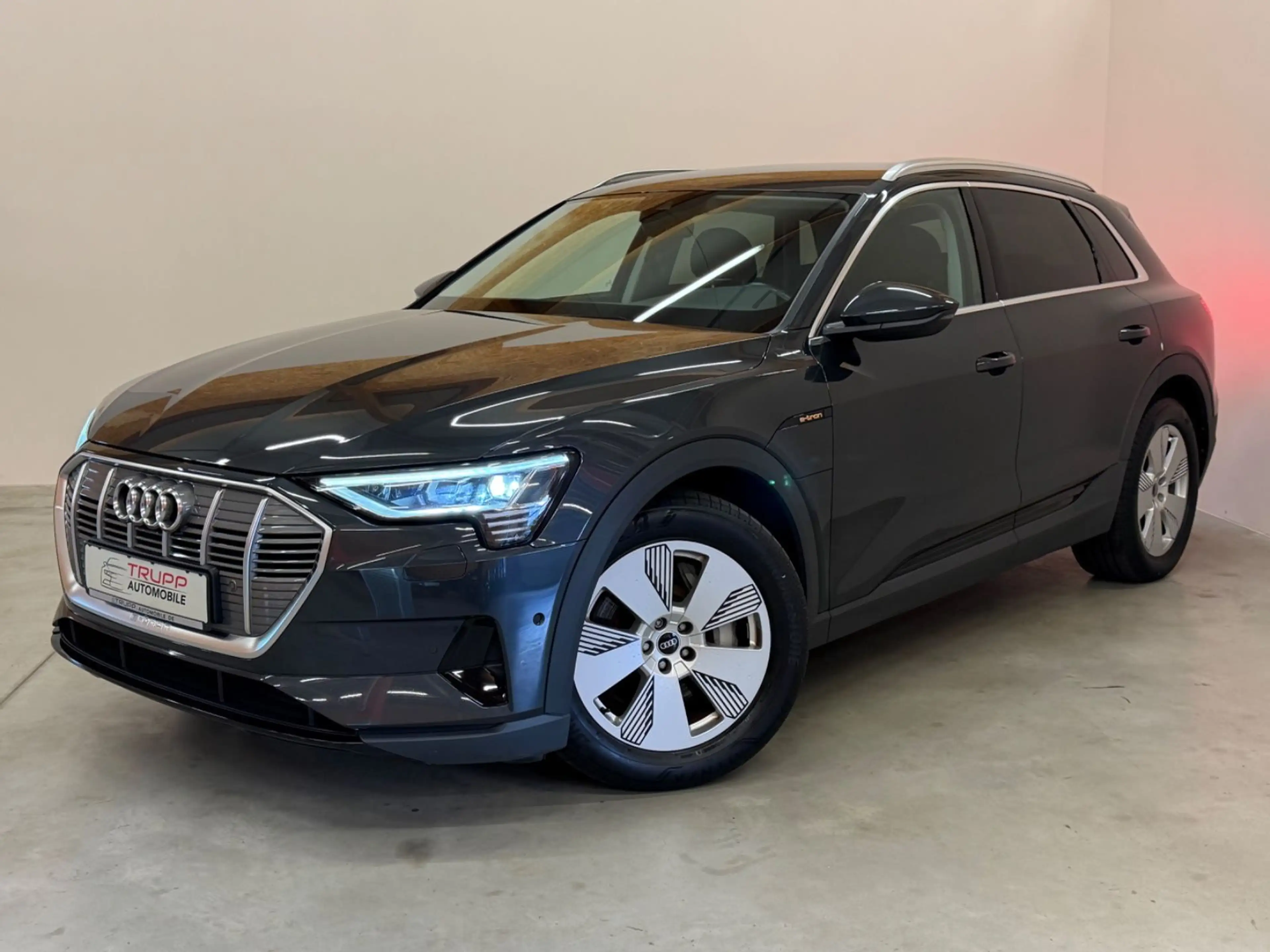 Audi e-tron 50 quattro/LED/AHK/B&O/ACC/SHZ/NAVI