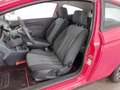 Ford Fiesta 1.25 Limited Czerwony - thumbnail 16