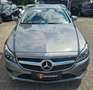 Mercedes-Benz CLS CLS 350 Shooting Break BlueTec / d Grey - thumbnail 11