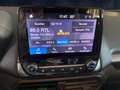 Ford EcoSport 1.0 EcoBoost Cool & Connect Grau - thumbnail 13