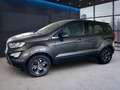 Ford EcoSport 1.0 EcoBoost Cool & Connect Grau - thumbnail 3