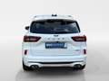 Ford Kuga 2,5 Duratec FHEV ST-Line X Allrad Aut. Weiß - thumbnail 4