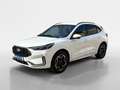Ford Kuga 2,5 Duratec FHEV ST-Line X Allrad Aut. Weiß - thumbnail 1