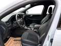 Ford Kuga 2,5 Duratec FHEV ST-Line X Allrad Aut. Weiß - thumbnail 9