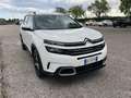 Citroen C5 Aircross Hybrid 225 e-EAT8 Shine Blanco - thumbnail 2