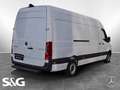 Mercedes-Benz Sprinter 317 CDI Kasten L3H2 AUTOMATIK KAMERA Alb - thumbnail 3