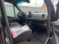 Mercedes-Benz Sprinter 319 L2H2 51800 EX BTW - TREKH 3.5 T - 3 STUKS Schwarz - thumbnail 17