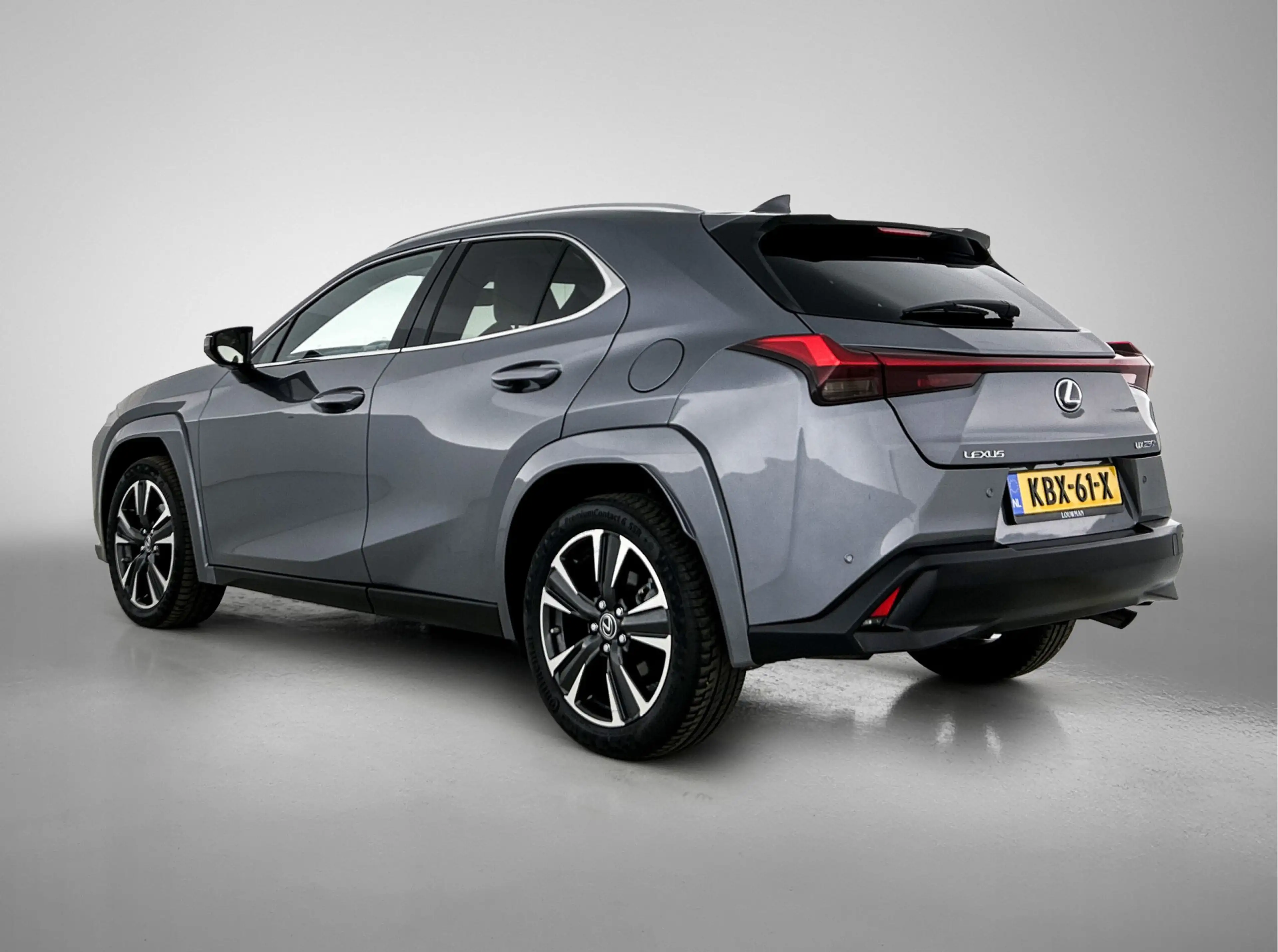 Lexus UX 250h Executive Line | Stoelgeheugen | Mark Levinson | S — photo 14