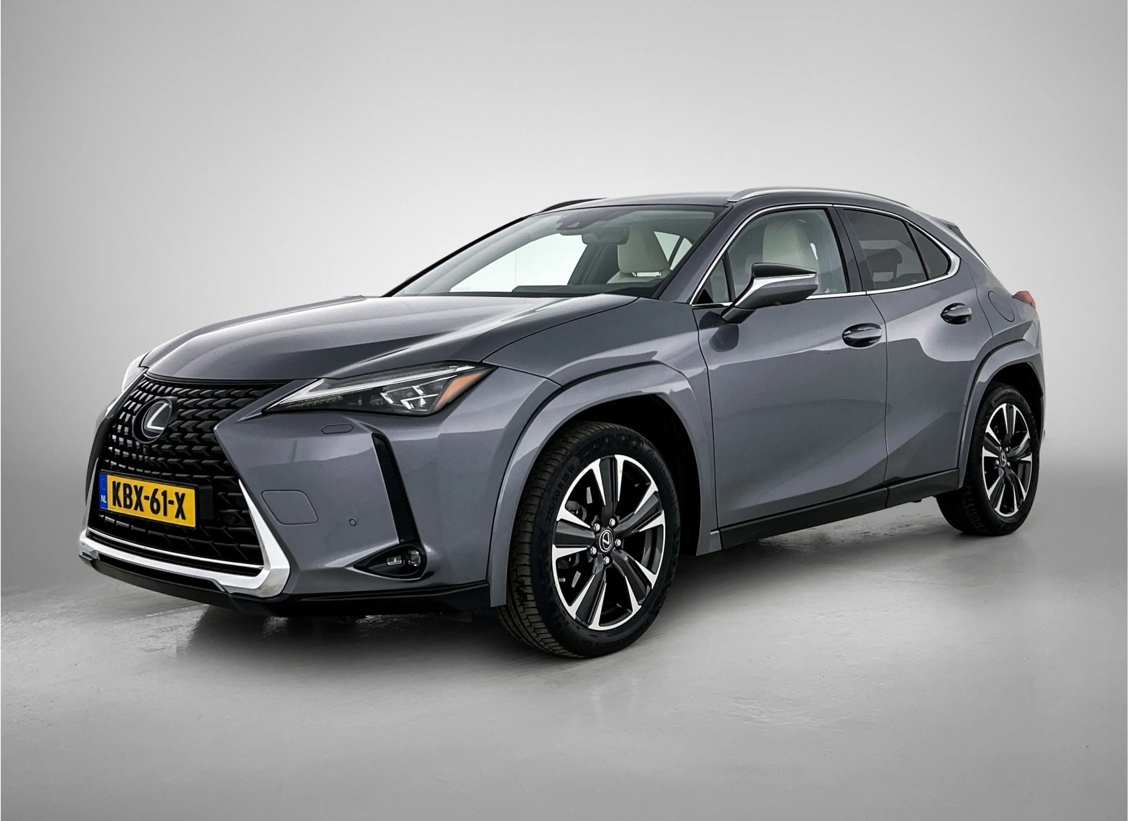 Lexus UX 250h Executive Line | Stoelgeheugen | Mark Levinson | S