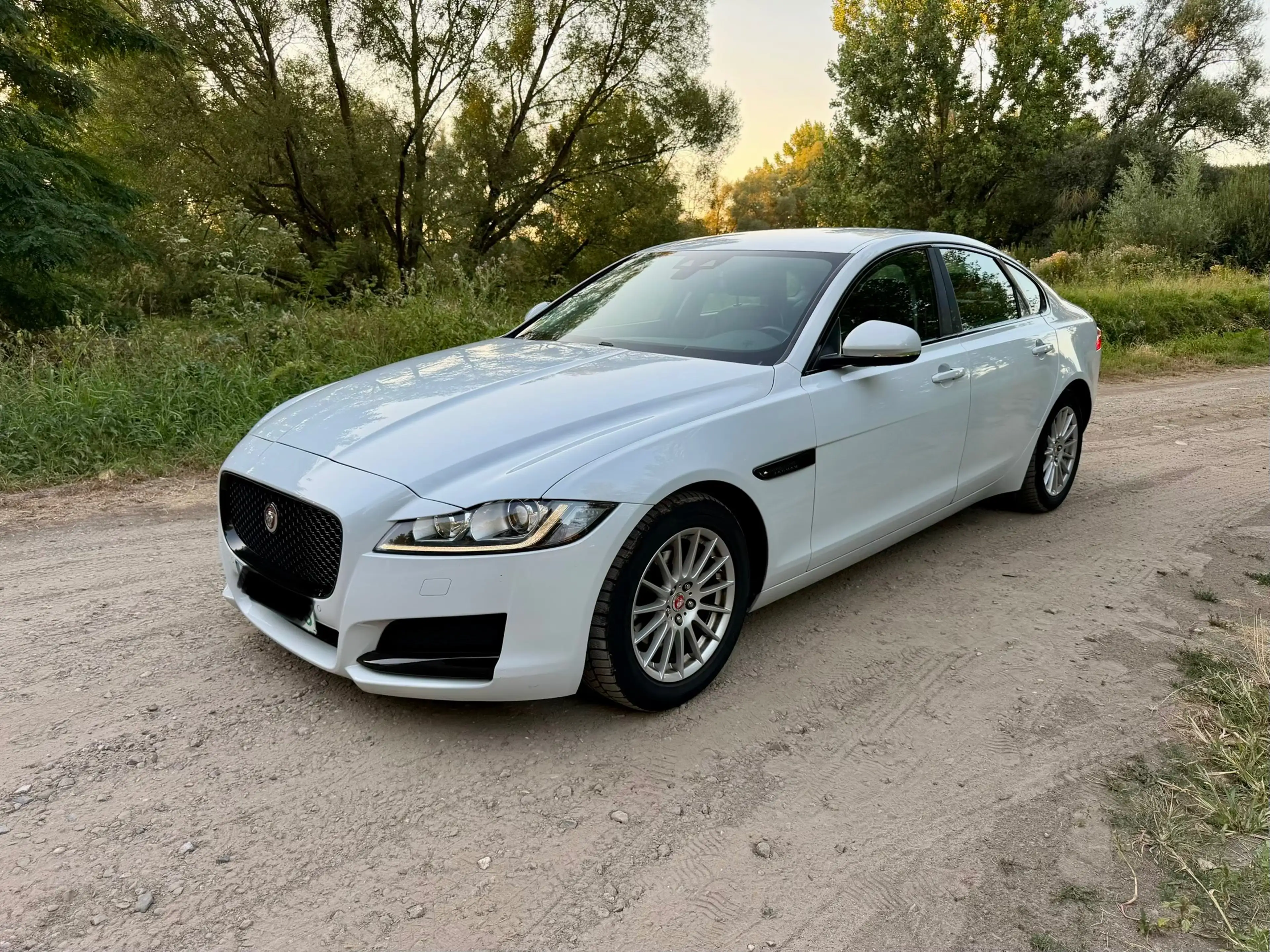 Jaguar XF XF 2.0 D E-Performance Prestige