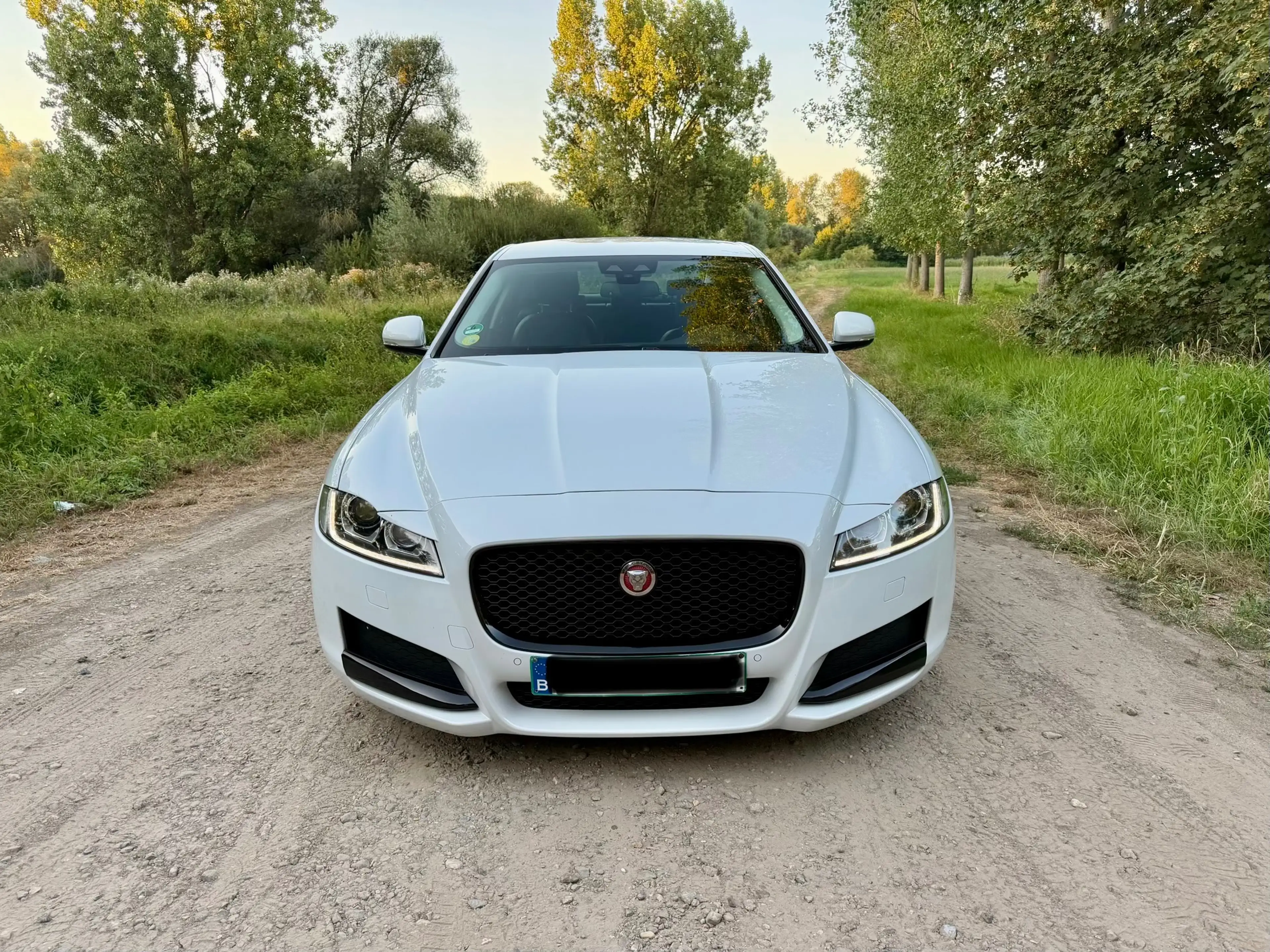 Jaguar XF XF 2.0 D E-Performance Prestige — photo 2