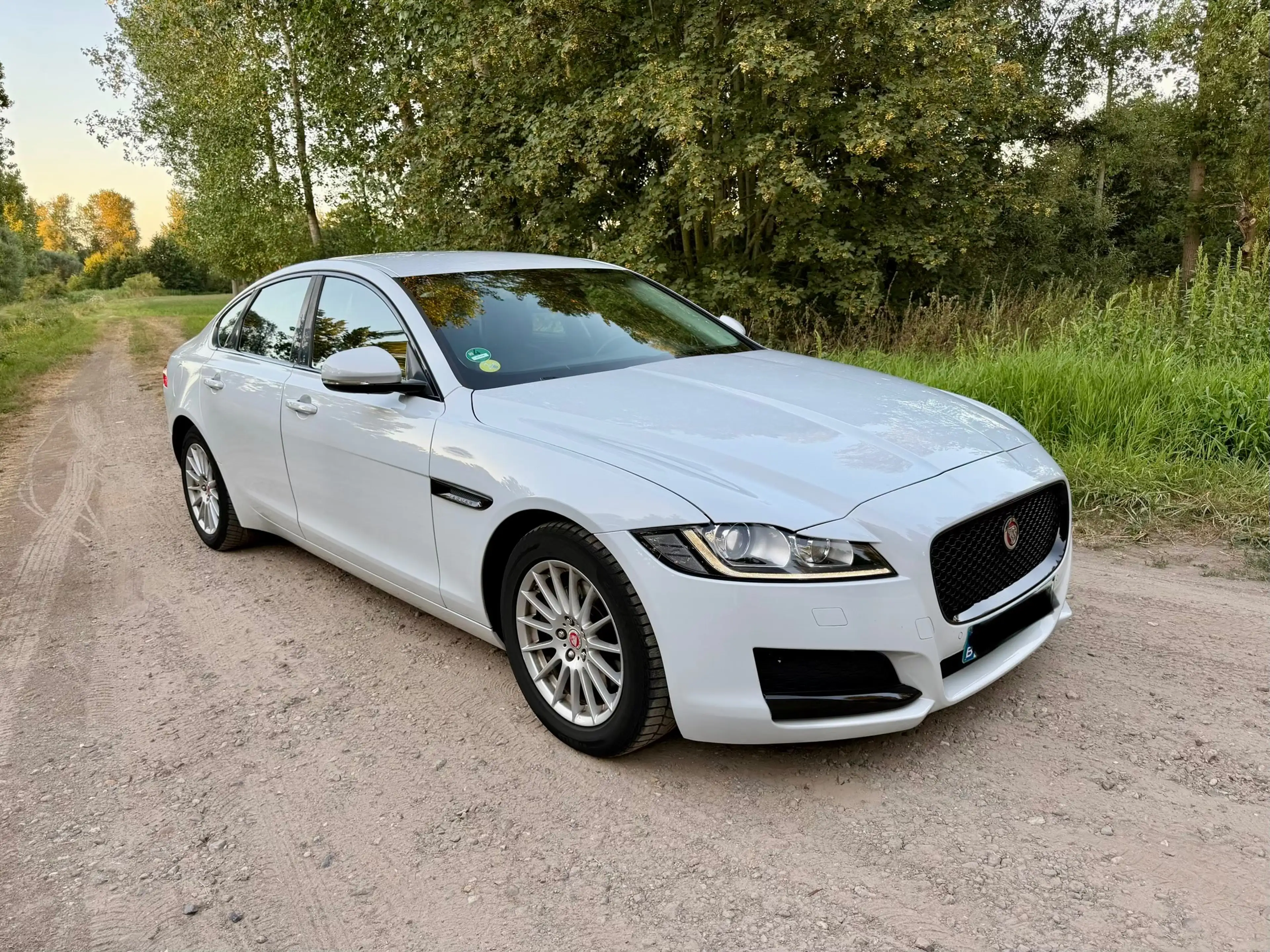 Jaguar XF XF 2.0 D E-Performance Prestige — photo 3