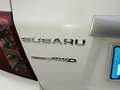 Subaru WRX Bianco - thumbnail 9