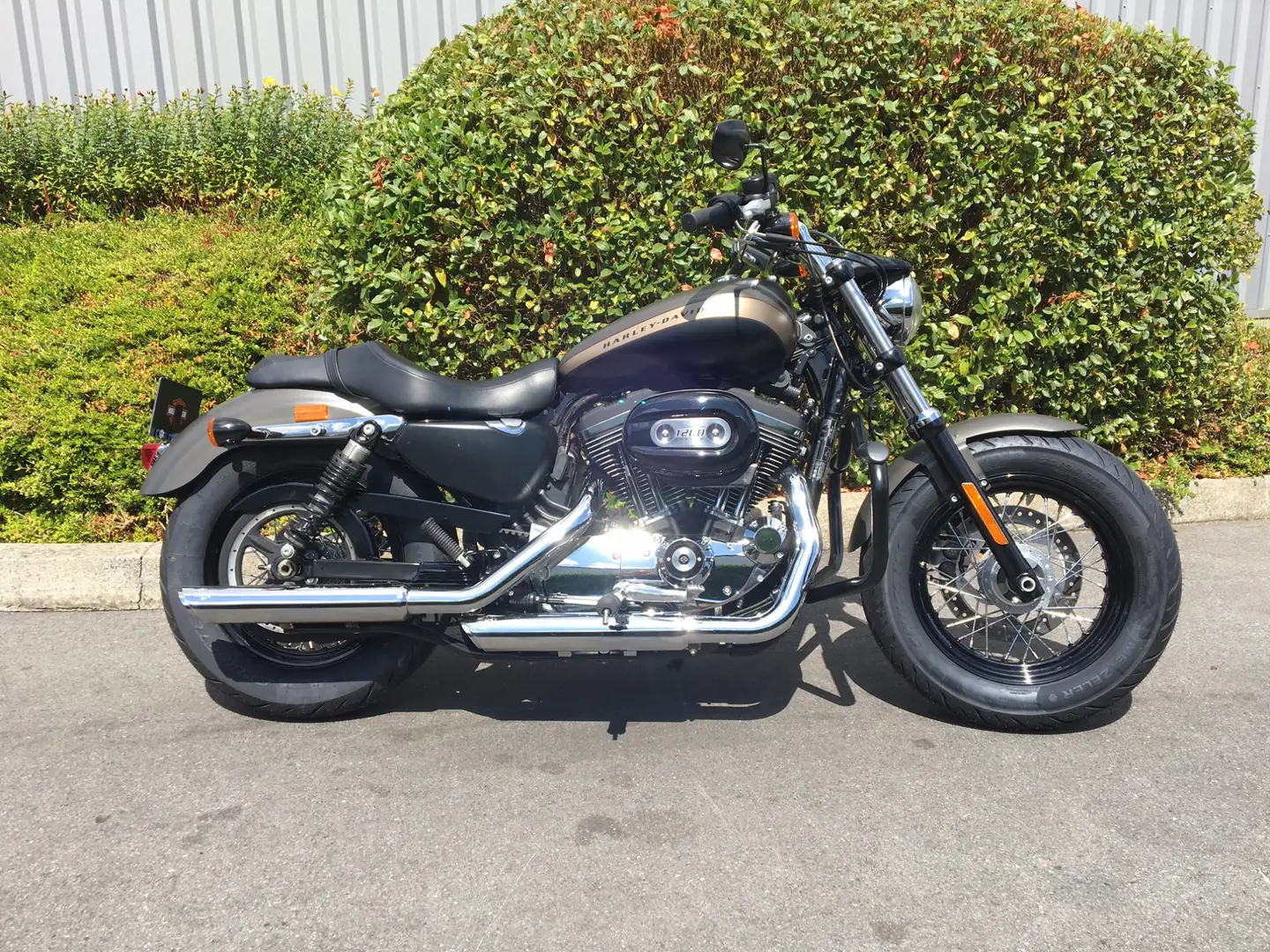 Harley-Davidson Sportster Gris - 1