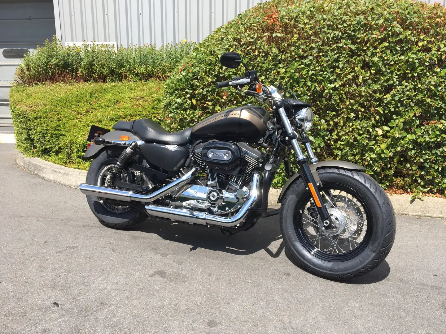 Harley-Davidson Sportster Gris - 2