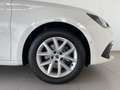 SEAT Leon 2.0TDI S&S Style XS 115 Blanco - thumbnail 8