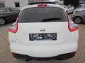 Nissan Juke 1,2 F15/E/E03 Blanc - thumbnail 6