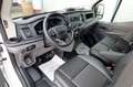 Ford Transit Pritsche 350 L3 Doka Trend,5J. Garantie! Blanco - thumbnail 3