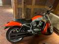 Harley-Davidson Street Rod 1131 ccm Orange - thumbnail 1