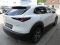Mazda CX-30 /X180/AWD/AT/100Years Weiß - thumbnail 4