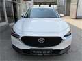 Mazda CX-30 /X180/AWD/AT/100Years Weiß - thumbnail 2
