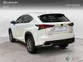 Lexus NX 350h SUV BUSINESS NAVIGATION 2WD 2.5 Híbrido Gasolina Blanco - thumbnail 2