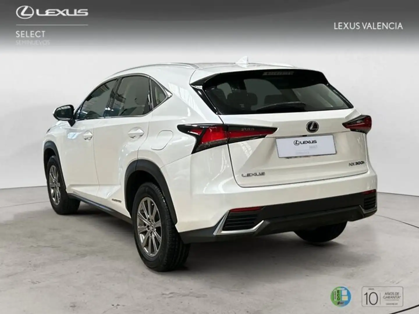 Lexus NX 350h SUV BUSINESS NAVIGATION 2WD 2.5 Híbrido Gasolina Blanc - 2