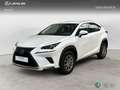 Lexus NX 350h SUV BUSINESS NAVIGATION 2WD 2.5 Híbrido Gasolina Blanco - thumbnail 1