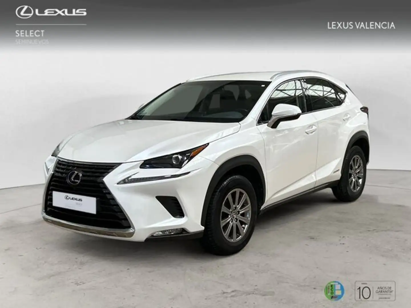Lexus NX 350h SUV BUSINESS NAVIGATION 2WD 2.5 Híbrido Gasolina Blanc - 1