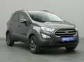 Ford EcoSport Cool&Connect 125PS/Winter-P./Navi/PDC Gris - thumbnail 24