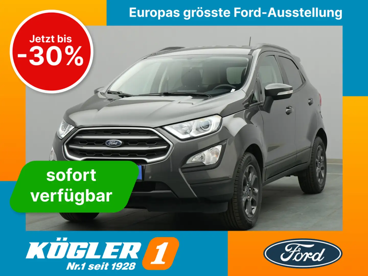 Ford EcoSport Cool&Connect 125PS/Winter-P./Navi/PDC Gris - 1