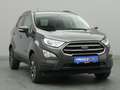 Ford EcoSport Cool&Connect 125PS/Winter-P./Navi/PDC Grijs - thumbnail 36