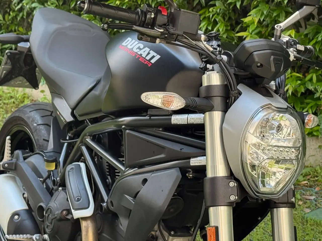 Ducati Monster 797