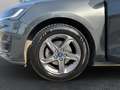 Ford Focus Kombi 1,0 EcoBoost Hybrid Titanium Grau - thumbnail 14